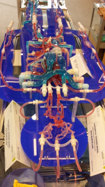 The Elastrat Fully Body Vascular Model